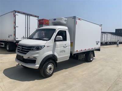 金杯T50S后雙輪小型冷藏車